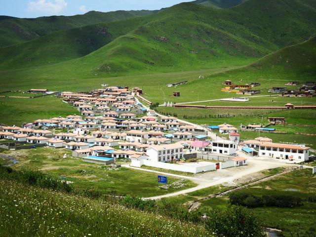 沪江开心词场