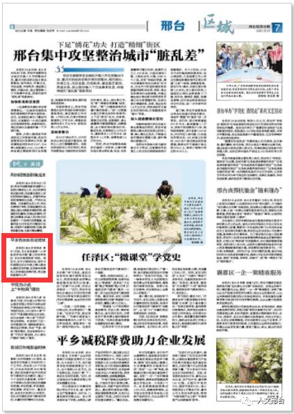 奔跑的兔子