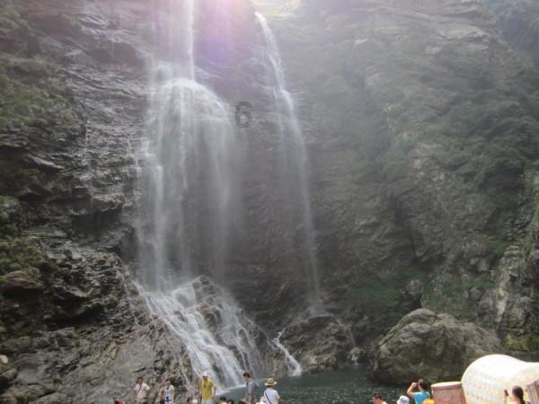 金刚鹦鹉逃生
